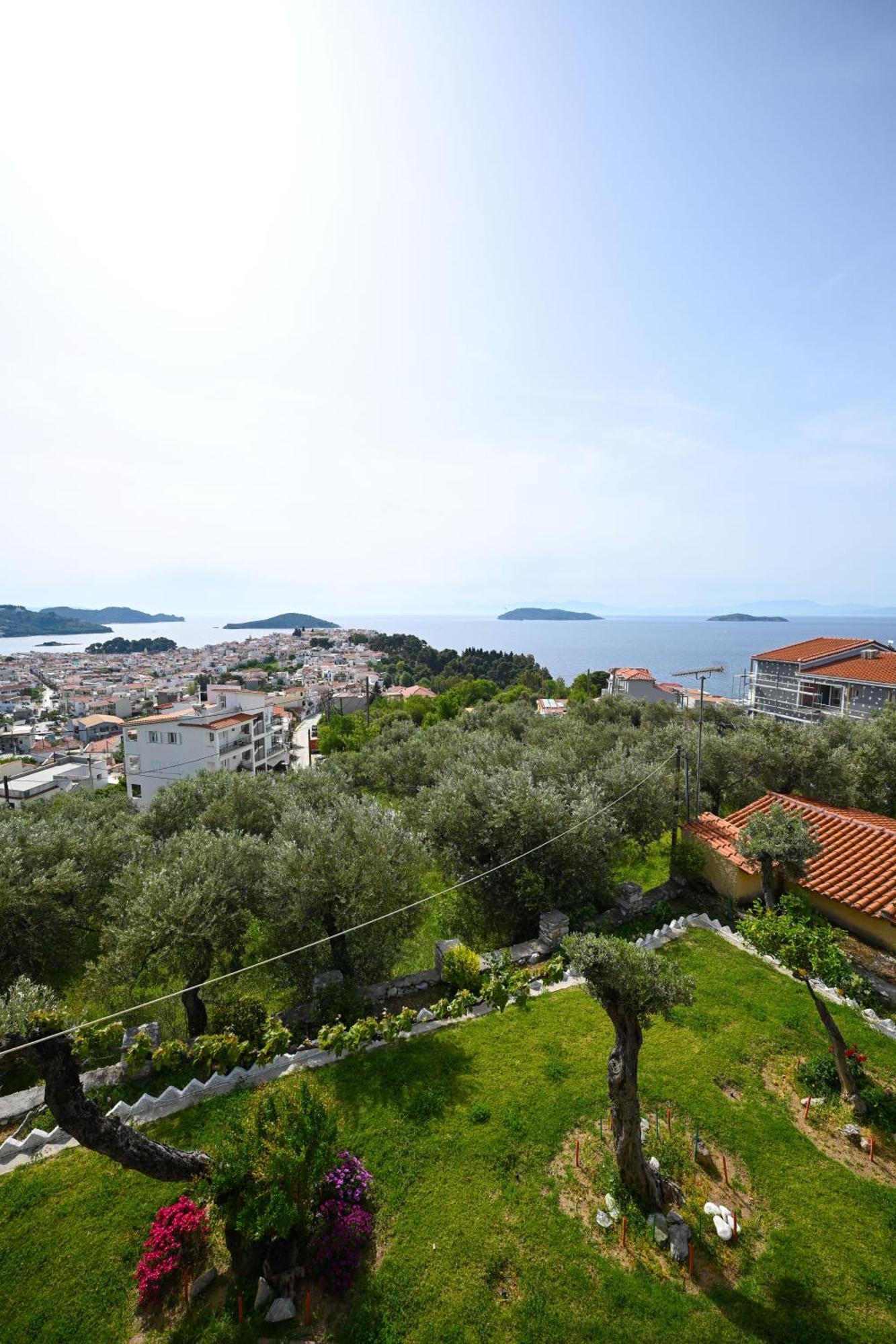 Makis Sea View Studios Skiathos stad Exteriör bild